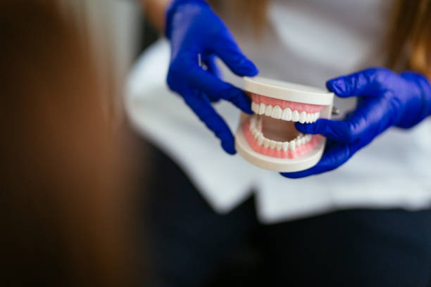  Fredericksburg, VA Dental Services Pros